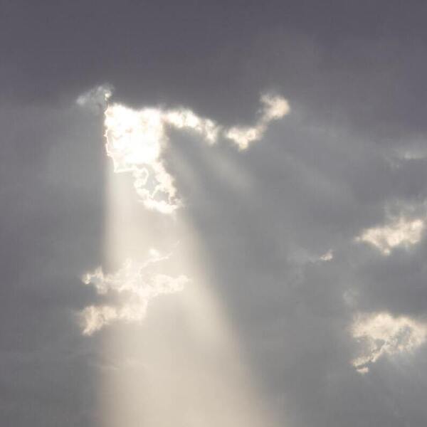 There has long been no talk of miracles / © Viktoriia Kondratiuk/pexels.com/CC0 1.0 There has long been no talk of miracles