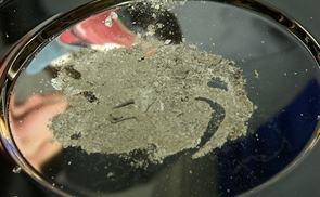 Aschermittwoch: Asche auf Teller