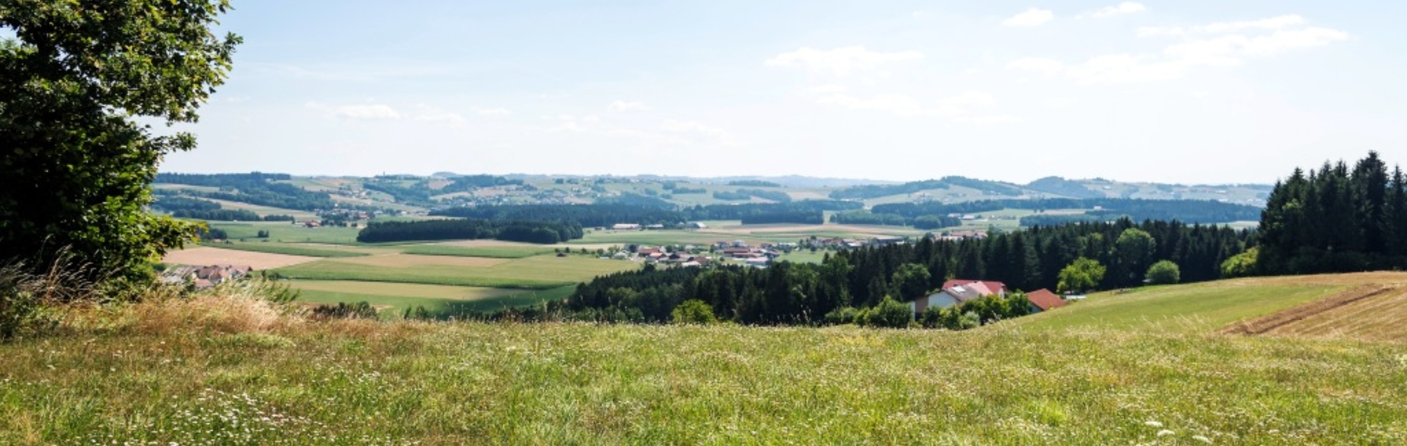 Natternbach