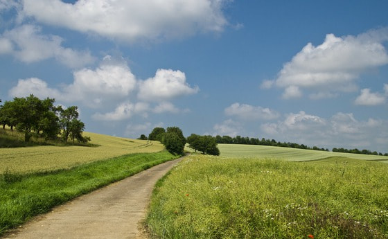 Wege gehen